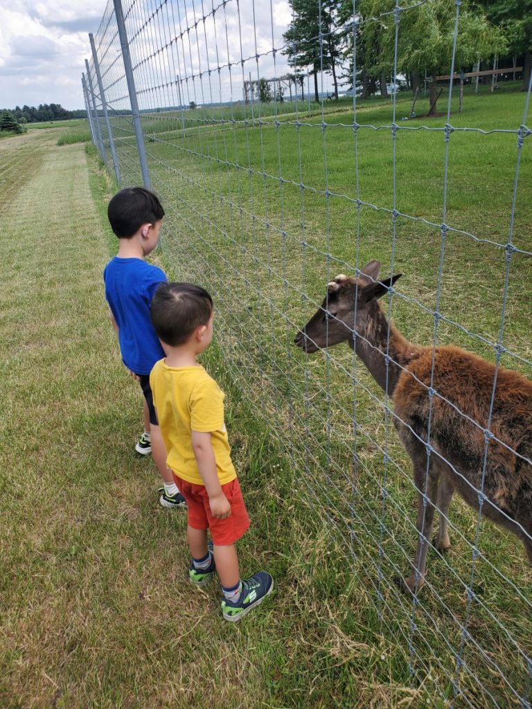 5 Things to do in Montréal South Shore with kids.